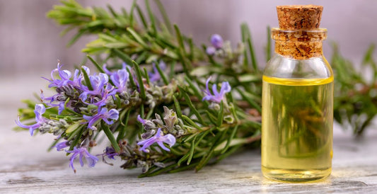 What is Aromatherapy blog 