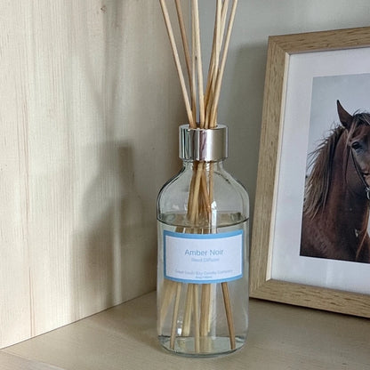 Amber Noir reed diffuser on a bookshelf with a picture of a horse.